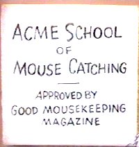 school of mouse catching
